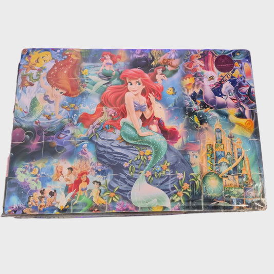 Casse Tête 100 morceaux et plus