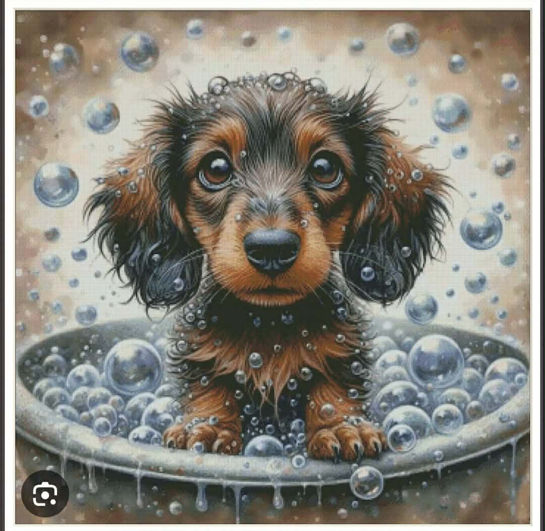 Diamond Paiting 30x30