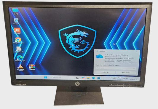 Écran 22 Pouces HP Dell (Reconditionné)